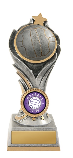 n18-0810_discount-netball-trophies.jpg