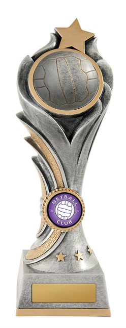 n18-0810_discount-netball-trophies.jpg