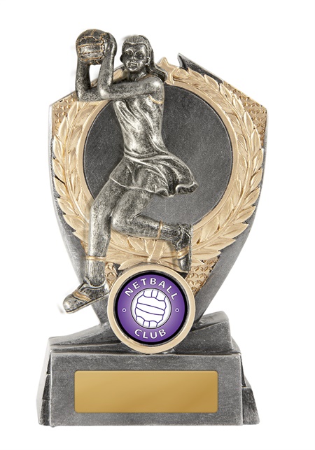 n18-0901_discount-netball-trophies.jpg