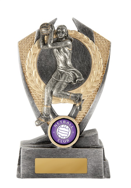 n18-0901_discount-netball-trophies.jpg