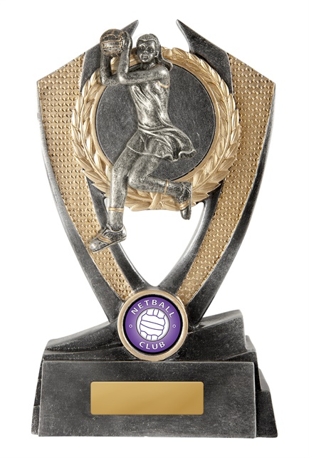 n18-0901_discount-netball-trophies.jpg