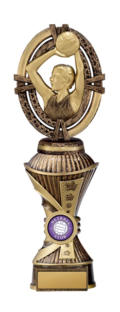 n18-1705_discount-netball-trophies.jpg