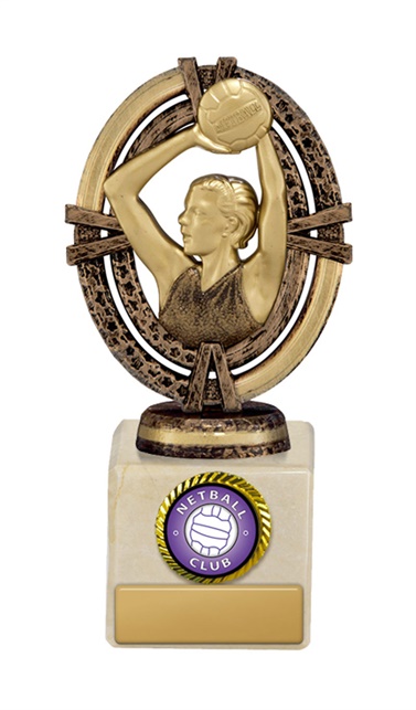 n18-1710_discount-netball-trophies.jpg