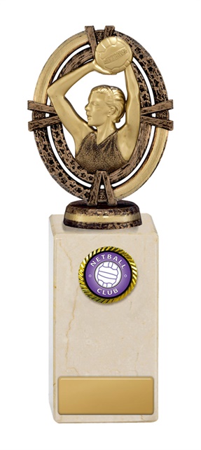 n18-1710_discount-netball-trophies.jpg