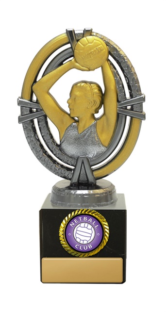 n18-1714_discount-netball-trophies.jpg