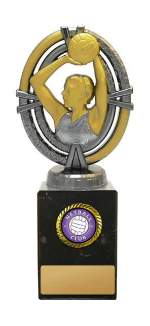 n18-1714_discount-netball-trophies.jpg