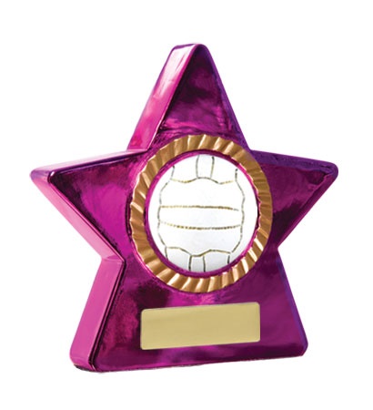 n18-1917_discount-netball-trophies.jpg