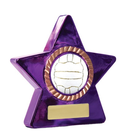 n18-1921_discount-netball-trophies.jpg