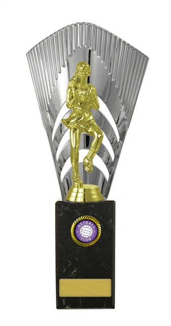 n18-2106_discount-netball-trophies.jpg