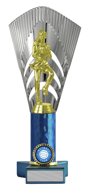 n18-2109_discount-netball-trophies.jpg