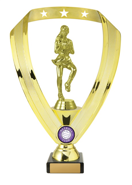 n18-2201_discount-netball-trophies.jpg