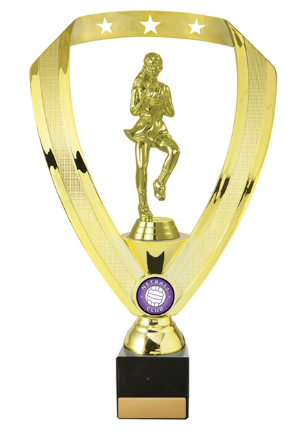 n18-2201_discount-netball-trophies.jpg