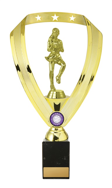 n18-2201_discount-netball-trophies.jpg