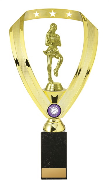 n18-2201_discount-netball-trophies.jpg