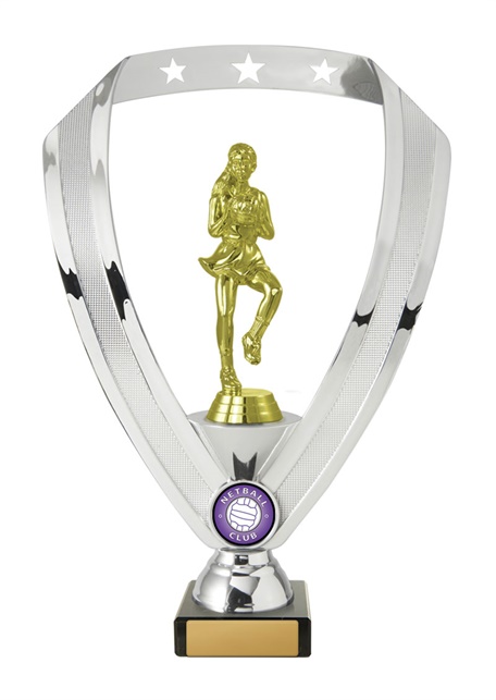 n18-2205_discount-netball-trophies.jpg