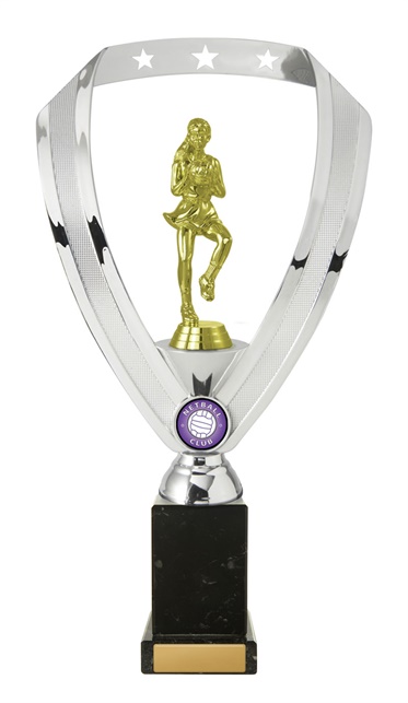 n18-2205_discount-netball-trophies.jpg