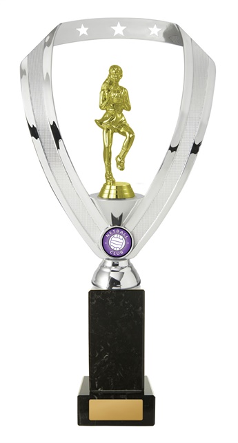 n18-2205_discount-netball-trophies.jpg