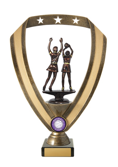 n18-2209_discount-netball-trophies.jpg