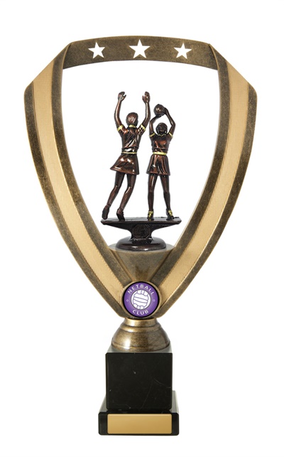 n18-2209_discount-netball-trophies.jpg