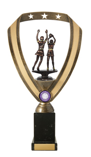 n18-2209_discount-netball-trophies.jpg