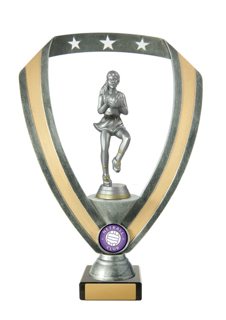 n18-2213_discount-netball-trophies.jpg