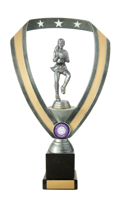 n18-2213_discount-netball-trophies.jpg