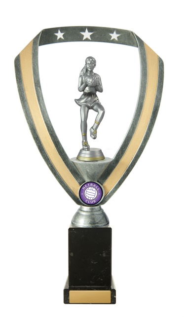 n18-2213_discount-netball-trophies.jpg