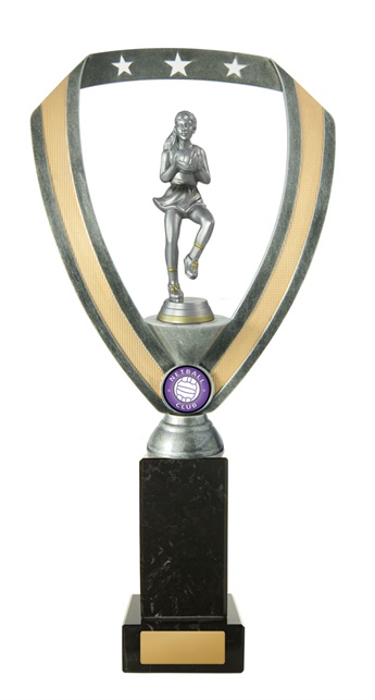 n18-2213_discount-netball-trophies.jpg