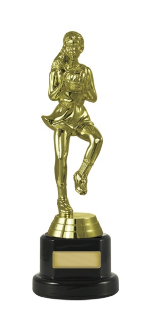 n18-2217_discount-netball-trophies.jpg