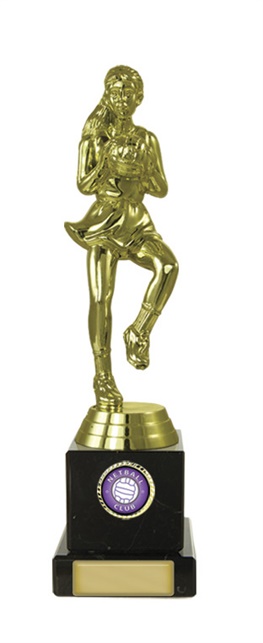 n18-2220_discount-netball-trophies.jpg