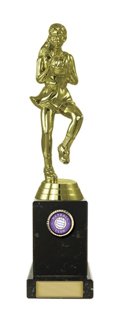 n18-2220_discount-netball-trophies.jpg