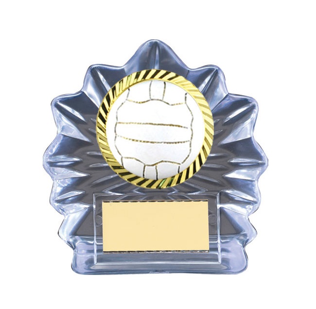 n18-2223_discount-netball-trophies.jpg