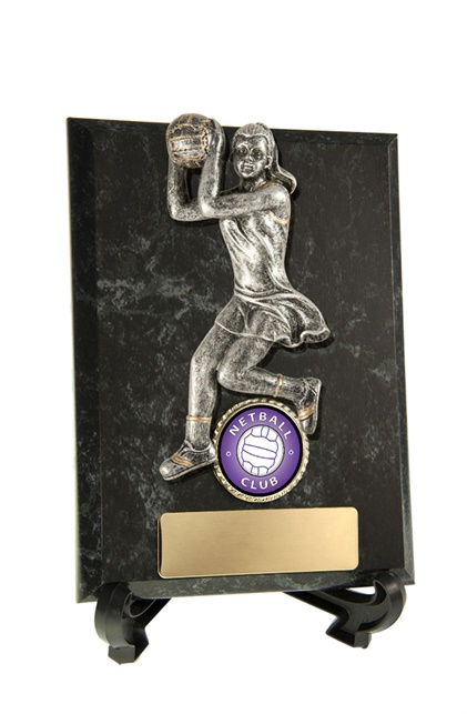 n18-2416_discount-netball-trophies.jpg