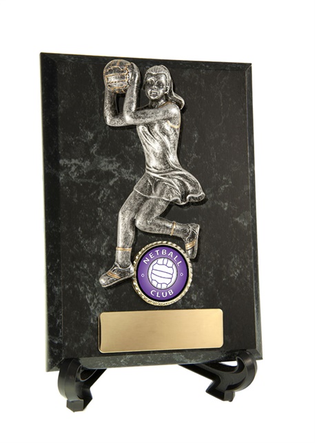 n18-2416_discount-netball-trophies.jpg