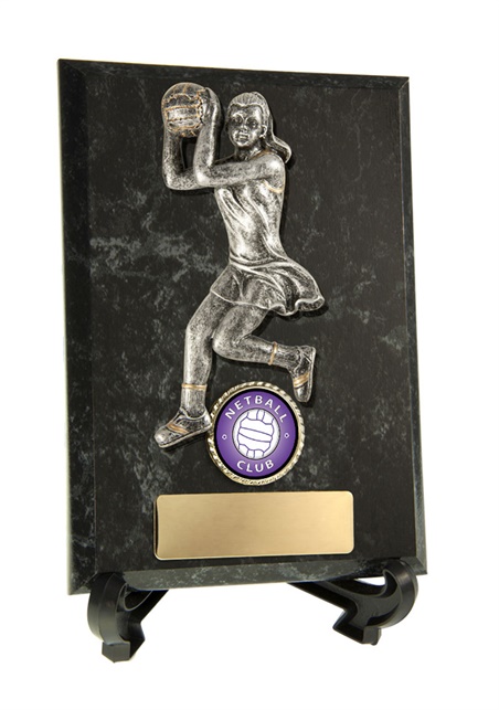 n18-2416_discount-netball-trophies.jpg