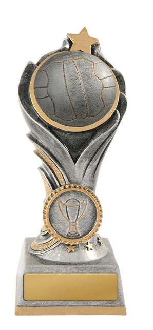 n19-1610_discount-netball-trophies.jpg