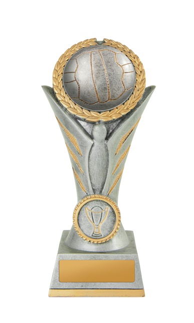 n19-1701_discount-netball-trophies.jpg