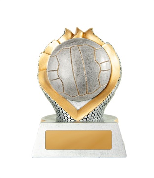 n19-1705_discount-netball-trophies.jpg