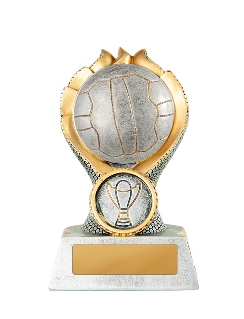 n19-1706_discount-netball-trophies.jpg