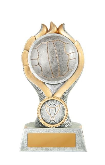 n19-1706_discount-netball-trophies.jpg