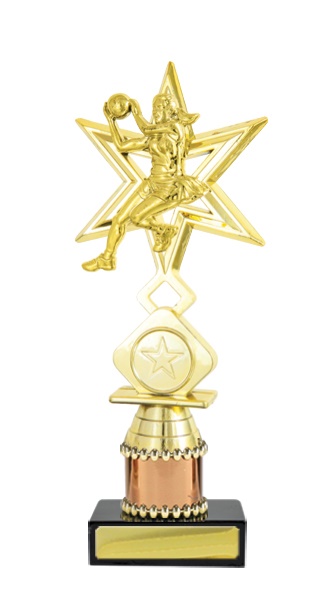 n19-2319_discount-netball-trophies.jpg