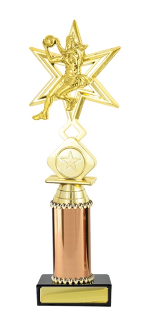 n19-2319_discount-netball-trophies.jpg