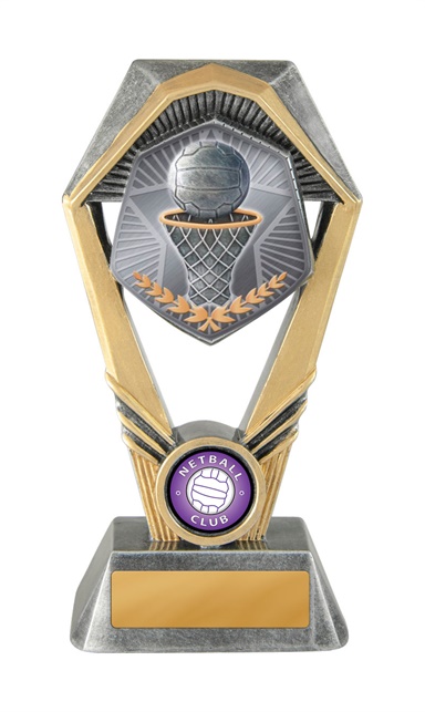 n21-1706_discount-netball-trophies.jpg