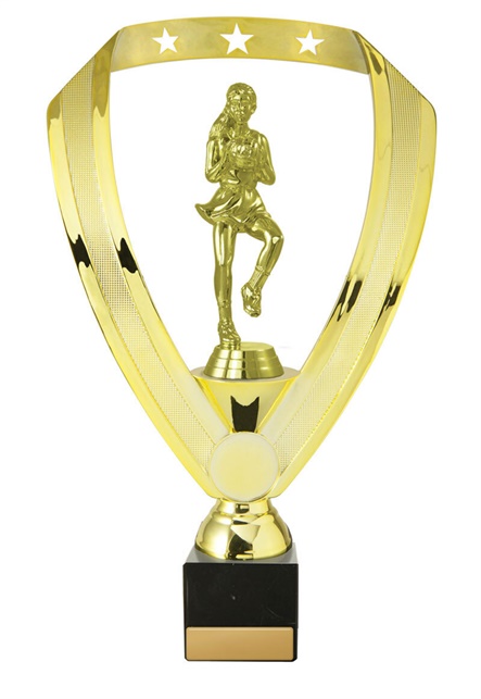 n24-2003_discount-netball-trophies.jpg