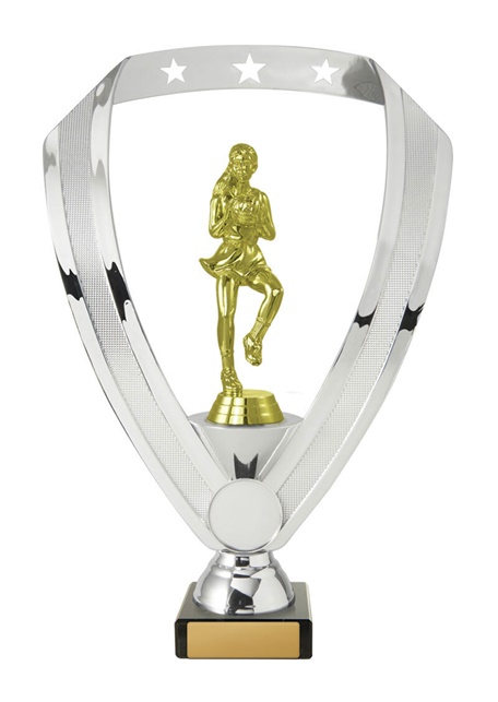 n24-2007_discount-netball-trophies.jpg