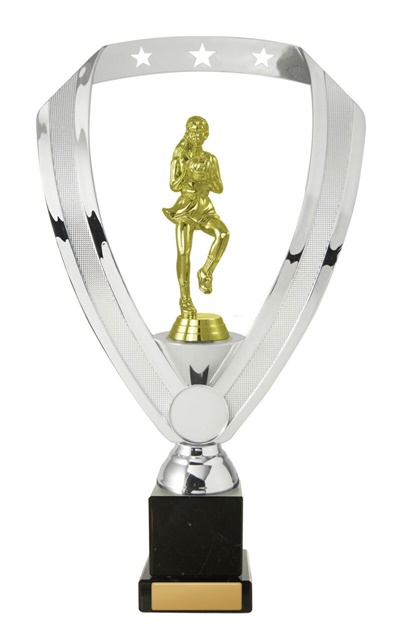 n24-2007_discount-netball-trophies.jpg