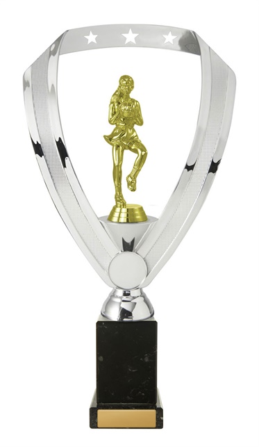 n24-2007_discount-netball-trophies.jpg