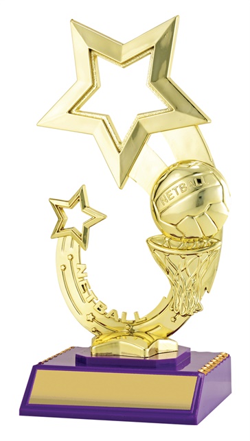 n3057_discount-netball-trophies.jpg