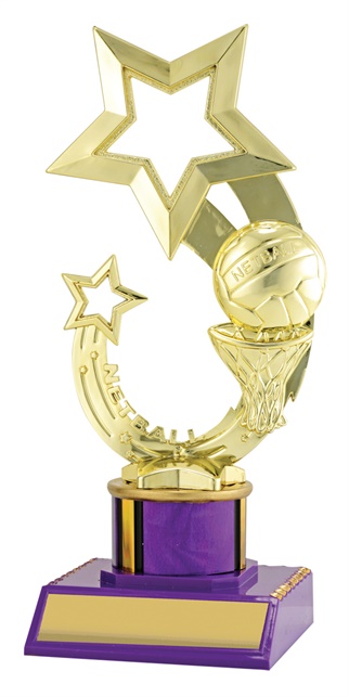 n3058_discount-netball-trophies.jpg