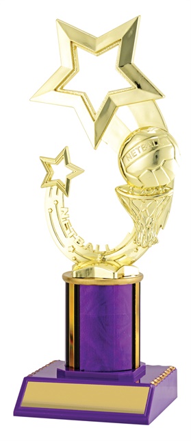 n3058_discount-netball-trophies.jpg